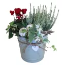 Podzimní sesadba brambořík